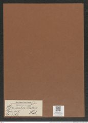 Hemiaulus proteus Heib. (de-Toni-Nr.: Genus 117, Species 3373) Zeichnungen Sammlung Grunow Mappe 03579 (Herbarium_W_Grunow_drawings_Folder_03579)